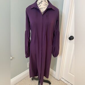 Refka Plum Maxi Button Down Dress  | Size 6 | Like New